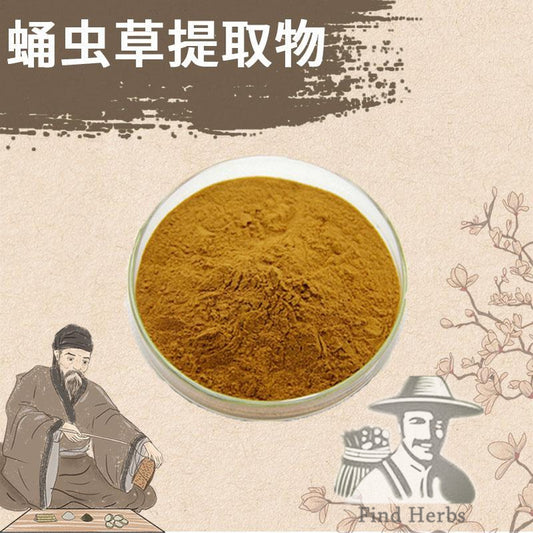 Extract Powder Chong Cao Hua 虫草花, Cordyceps Militaris, Mushroom Cordyceps-[Chinese Herbs Online]-[chinese herbs shop near me]-[Traditional Chinese Medicine TCM]-[chinese herbalist]-Find Chinese Herb™