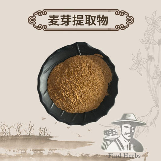Extract Powder Mai Ya 麥芽, Fructus Hordei Germinatus, Stir-baked Malt-[Chinese Herbs Online]-[chinese herbs shop near me]-[Traditional Chinese Medicine TCM]-[chinese herbalist]-Find Chinese Herb™