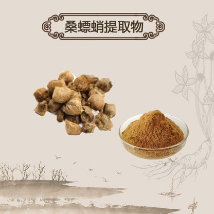 Extract Powder Sang Piao Xiao 桑螵蛸, Ootheca Mantidis, Praying Mantis Egg-Case-[Chinese Herbs Online]-[chinese herbs shop near me]-[Traditional Chinese Medicine TCM]-[chinese herbalist]-Find Chinese Herb™