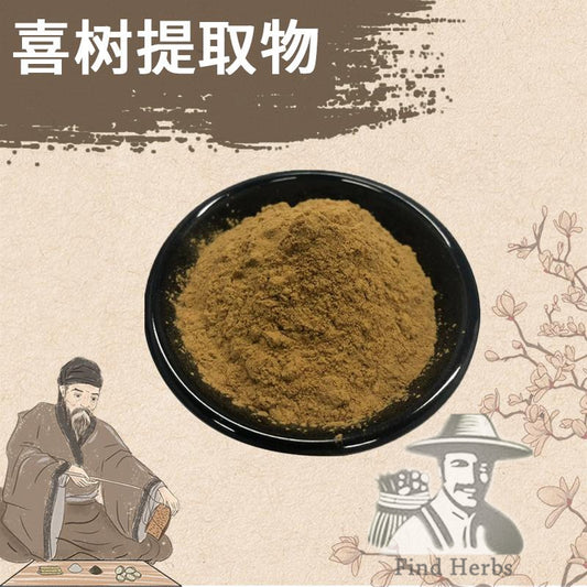 Extract Powder Xi Shu Guo 喜树果, Fructus Et Cortex Camptothecae, Shui Li Zi, Tian Zi Shu-[Chinese Herbs Online]-[chinese herbs shop near me]-[Traditional Chinese Medicine TCM]-[chinese herbalist]-Find Chinese Herb™