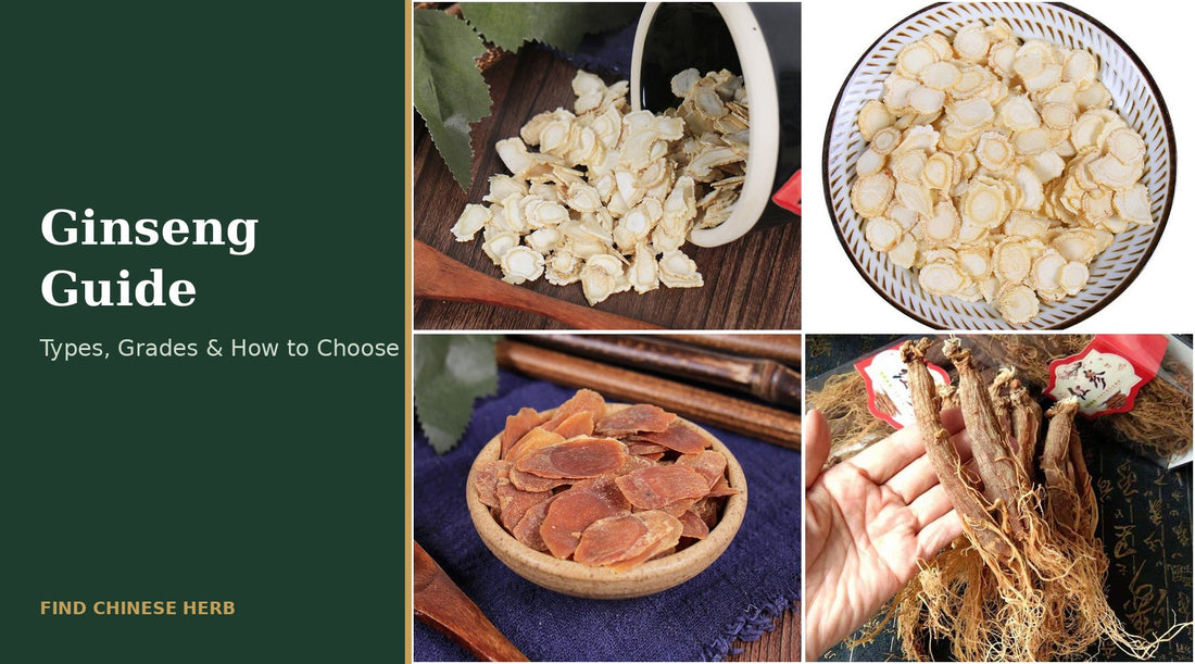 Ginseng guide - Asian and American ginseng roots, white and red ginseng slices