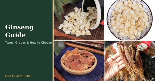 Ginseng guide - Asian and American ginseng roots, white and red ginseng slices