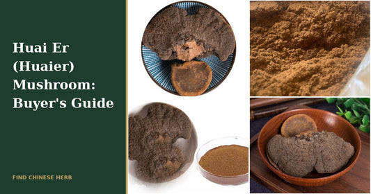 Huai er mushroom (huaier) buyer's guide - dried, powder and extract forms