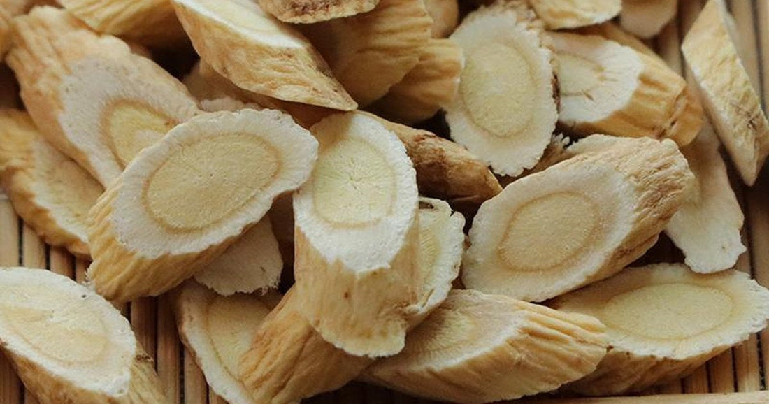 Astragalus root (Huang Qi) complete guide - dried slices