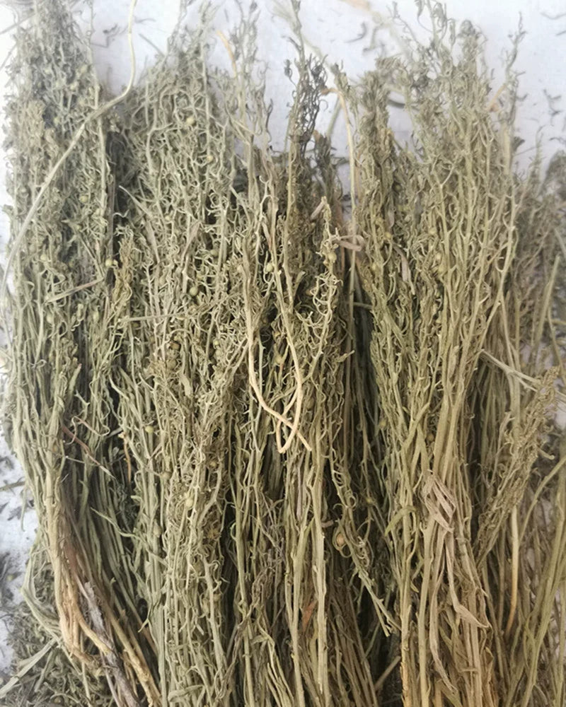 500g Bai Rui Cao 百蕊草, Dried Chinese Bastardtoadflax, Herba Thesii, Bai Ru Cao, Mai Huang Cao-[Chinese Herbs Online]-[chinese herbs shop near me]-[Traditional Chinese Medicine TCM]-[chinese herbalist]-Find Chinese Herb™