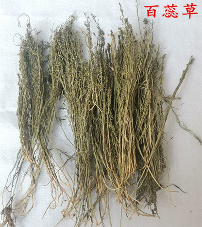 500g Bai Rui Cao 百蕊草, Dried Chinese Bastardtoadflax, Herba Thesii, Bai Ru Cao, Mai Huang Cao-[Chinese Herbs Online]-[chinese herbs shop near me]-[Traditional Chinese Medicine TCM]-[chinese herbalist]-Find Chinese Herb™