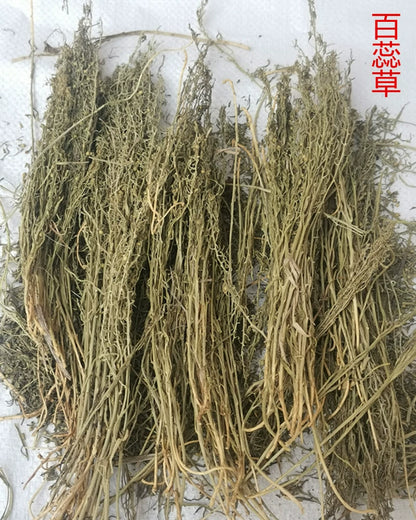 100g Bai Rui Cao 百蕊草, Dried Chinese Bastardtoadflax, Herba Thesii, Bai Ru Cao, Mai Huang Cao-[Chinese Herbs Online]-[chinese herbs shop near me]-[Traditional Chinese Medicine TCM]-[chinese herbalist]-Find Chinese Herb™