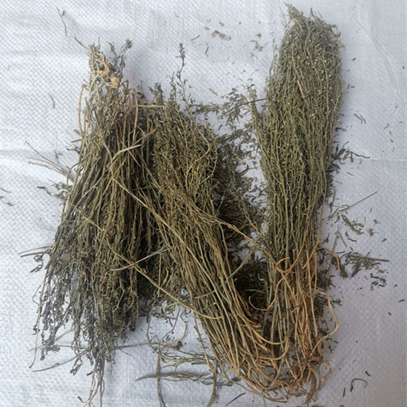 500g Bai Rui Cao 百蕊草, Dried Chinese Bastardtoadflax, Herba Thesii, Bai Ru Cao, Mai Huang Cao-[Chinese Herbs Online]-[chinese herbs shop near me]-[Traditional Chinese Medicine TCM]-[chinese herbalist]-Find Chinese Herb™