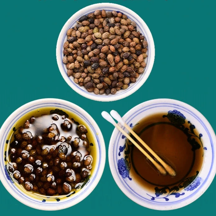 Java Brucea Buy Herb Tea Ya Dan Zi You 鴉膽子油, Fructus Bruceae Oils, Java Brucea ...