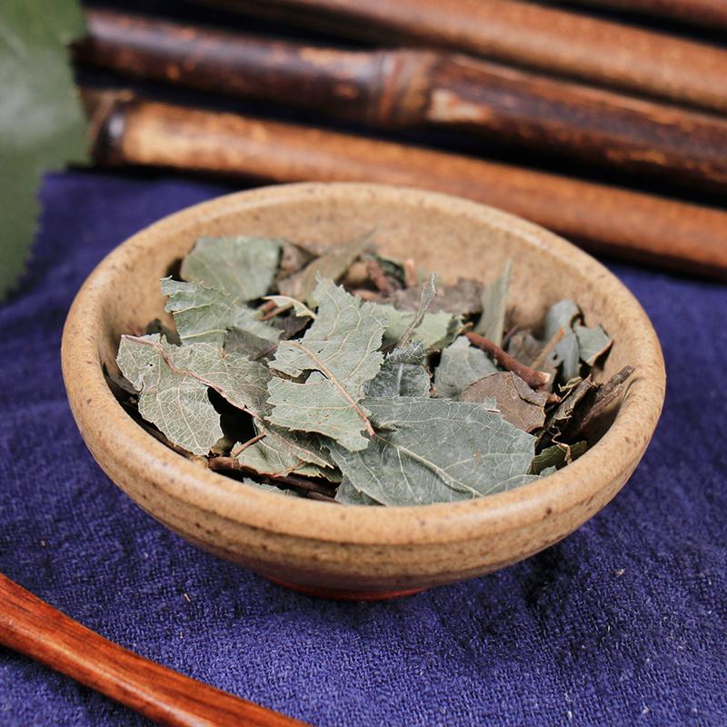 100g Ai Di Cha 矮地茶, Herba Ardisiae Japonicae, Japanese Ardisia Herb, Ping Di Mu-[Chinese Herbs Online]-[chinese herbs shop near me]-[Traditional Chinese Medicine TCM]-[chinese herbalist]-Find Chinese Herb™