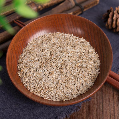 100g Bai Wo Ju Zi 白萵苣子, White Seed Of Garden Lettuce, Sheng Cai Zi, Bai Ju Sheng-[Chinese Herbs Online]-[chinese herbs shop near me]-[Traditional Chinese Medicine TCM]-[chinese herbalist]-Find Chinese Herb™