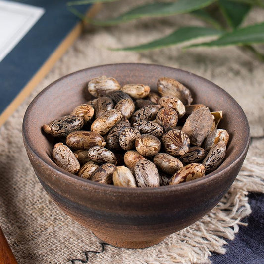 100g Bi Ma Zi 蓖麻子, Semen Ricini, Castor Bean-[Chinese Herbs Online]-[chinese herbs shop near me]-[Traditional Chinese Medicine TCM]-[chinese herbalist]-Find Chinese Herb™
