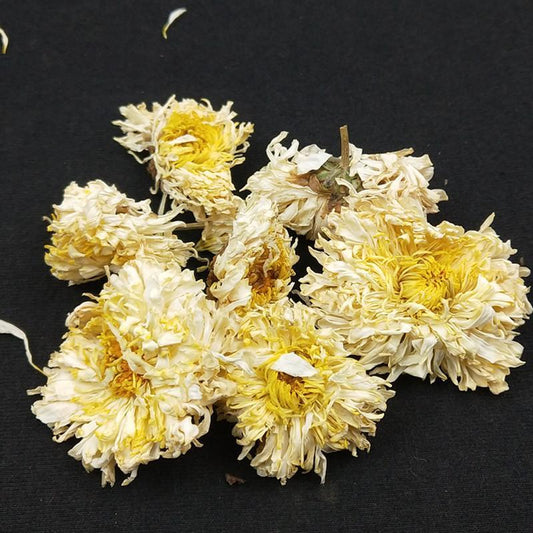 100g Bo Bai Ju 亳白菊, Flos Chrysanthemi, Florists Chrysanthemum Flower-[Chinese Herbs Online]-[chinese herbs shop near me]-[Traditional Chinese Medicine TCM]-[chinese herbalist]-Find Chinese Herb™
