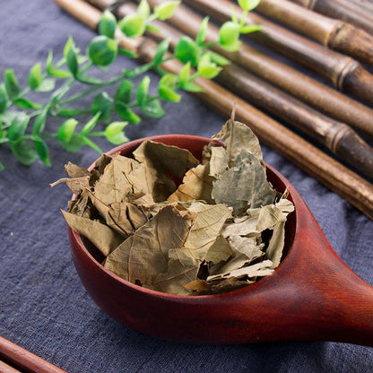 100g Bu Zha Ye 布渣葉, Folium Microcotis, Po Bu Ye-[Chinese Herbs Online]-[chinese herbs shop near me]-[Traditional Chinese Medicine TCM]-[chinese herbalist]-Find Chinese Herb™