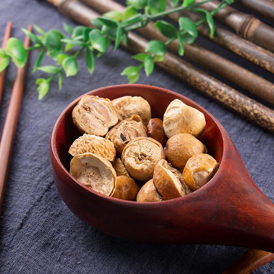 100g Chuan Lian Zi 川楝子, Fructus Toosendan, Toosendan Fruit, Szechwan Chinaberry Fruit, Jin Ling Zi-[Chinese Herbs Online]-[chinese herbs shop near me]-[Traditional Chinese Medicine TCM]-[chinese herbalist]-Find Chinese Herb™