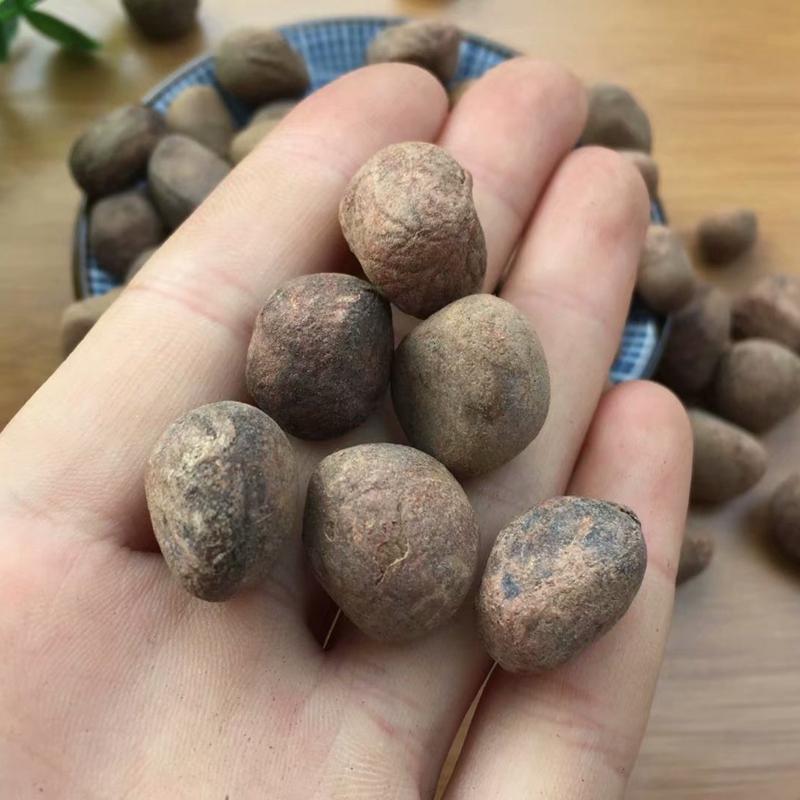 100g Da Feng Zi 大風子, Ma Feng Zi, Chaulmoogratree Seed, Semen Hydnocarpi-[Chinese Herbs Online]-[chinese herbs shop near me]-[Traditional Chinese Medicine TCM]-[chinese herbalist]-Find Chinese Herb™