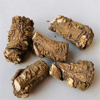 100g Dang Gui Tou 當歸头, Head Radix Angelicae Sinensis, Chinese Angelica Root, Dong Quai-[Chinese Herbs Online]-[chinese herbs shop near me]-[Traditional Chinese Medicine TCM]-[chinese herbalist]-Find Chinese Herb™