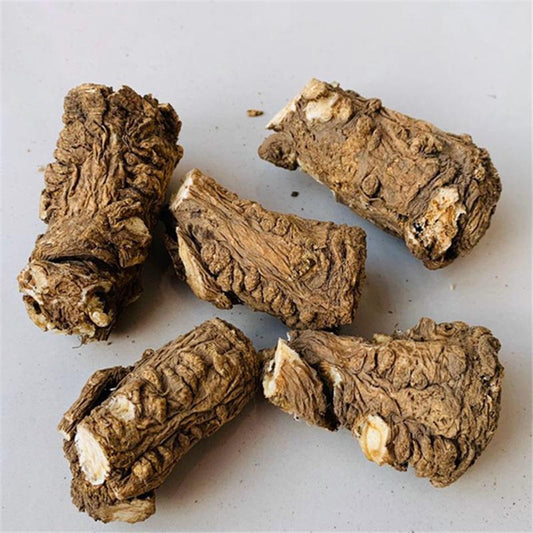 100g Dang Gui Tou 當歸头, Head Radix Angelicae Sinensis, Chinese Angelica Root, Dong Quai-[Chinese Herbs Online]-[chinese herbs shop near me]-[Traditional Chinese Medicine TCM]-[chinese herbalist]-Find Chinese Herb™