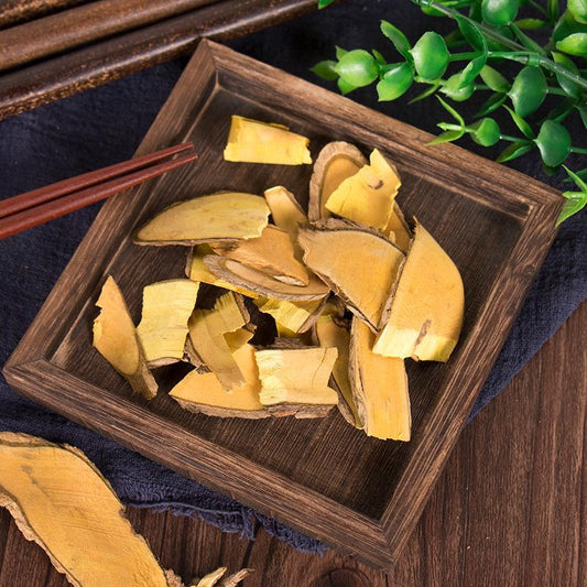 100g Gong Lao Mu 功劳木, Mahonia Bealei Root, Radix Chinese Mahonia, Huang Teng-[Chinese Herbs Online]-[chinese herbs shop near me]-[Traditional Chinese Medicine TCM]-[chinese herbalist]-Find Chinese Herb™