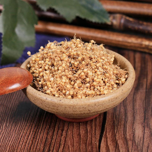 100g Gu Ya 生谷芽, FRUCTUS SETARIAE GERMINATUS, Rice-grain Sprout, Millet Sprout-[Chinese Herbs Online]-[chinese herbs shop near me]-[Traditional Chinese Medicine TCM]-[chinese herbalist]-Find Chinese Herb™