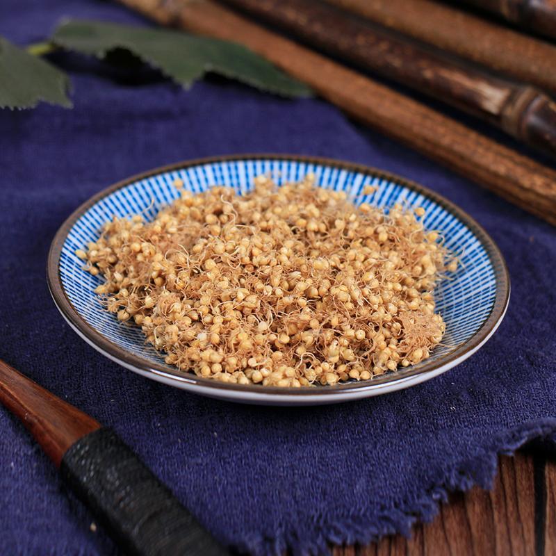 100g Gu Ya 生谷芽, FRUCTUS SETARIAE GERMINATUS, Rice-grain Sprout, Millet Sprout-[Chinese Herbs Online]-[chinese herbs shop near me]-[Traditional Chinese Medicine TCM]-[chinese herbalist]-Find Chinese Herb™