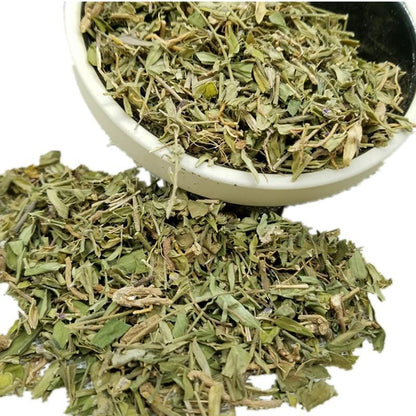 100g Gua Zi Jin 瓜子金, Herba Polygalae Japonicae, Japanese Milkwort Herb-[Chinese Herbs Online]-[chinese herbs shop near me]-[Traditional Chinese Medicine TCM]-[chinese herbalist]-Find Chinese Herb™