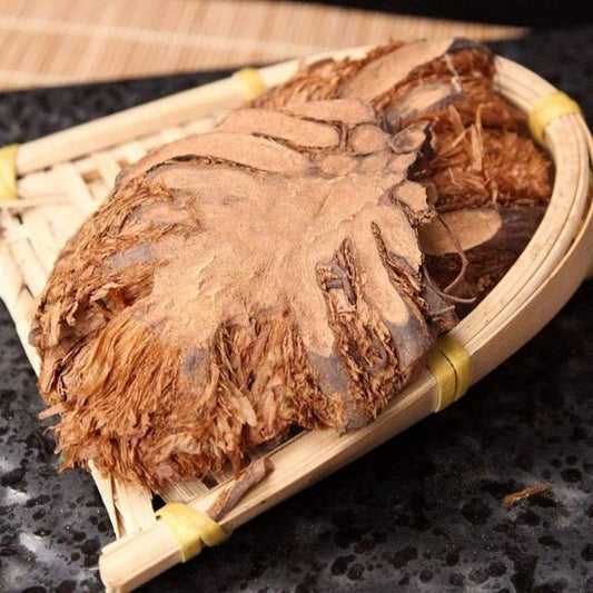 100g Guan Zhong 貫眾, Cyrtomium Rhizome, Rhizoma Cyrtomii, Guan Jie-[Chinese Herbs Online]-[chinese herbs shop near me]-[Traditional Chinese Medicine TCM]-[chinese herbalist]-Find Chinese Herb™
