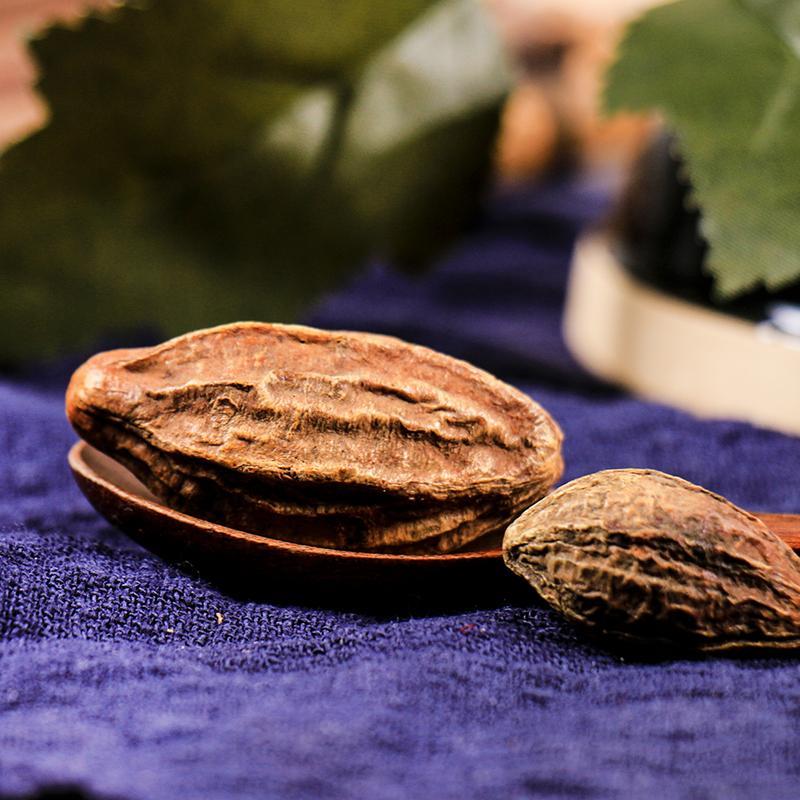 100g He Zi 訶子, Fructus Chebulae, Medicine Terminalia Fruit-[Chinese Herbs Online]-[chinese herbs shop near me]-[Traditional Chinese Medicine TCM]-[chinese herbalist]-Find Chinese Herb™