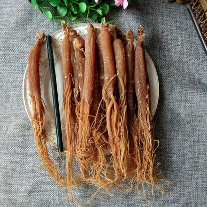 100g Hong Shen 红参, Korean Panax Ginseng Roots, 6 Years Radix Red Ginseng Rubra-[Chinese Herbs Online]-[chinese herbs shop near me]-[Traditional Chinese Medicine TCM]-[chinese herbalist]-Find Chinese Herb™
