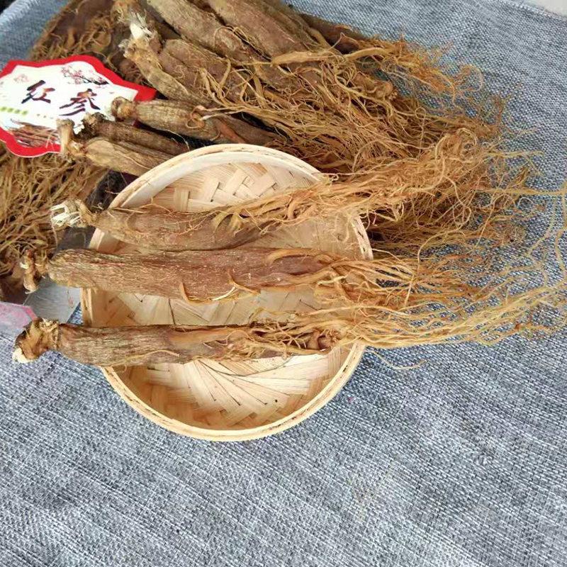 100g Hong Shen 红参, Whole Korean Panax Ginseng Roots, 8 Years Radix Red Ginseng Rubra-[Chinese Herbs Online]-[chinese herbs shop near me]-[Traditional Chinese Medicine TCM]-[chinese herbalist]-Find Chinese Herb™