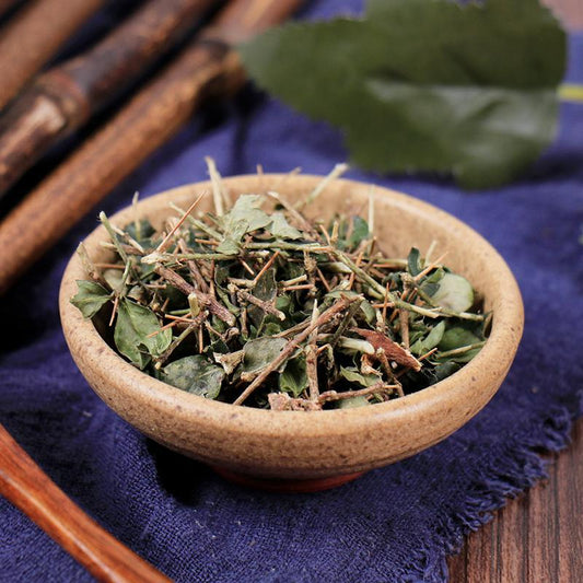 100g Hu Ci 虎刺, Damnacanthus Indicus Gaertn, Fu Niu Hua-[Chinese Herbs Online]-[chinese herbs shop near me]-[Traditional Chinese Medicine TCM]-[chinese herbalist]-Find Chinese Herb™