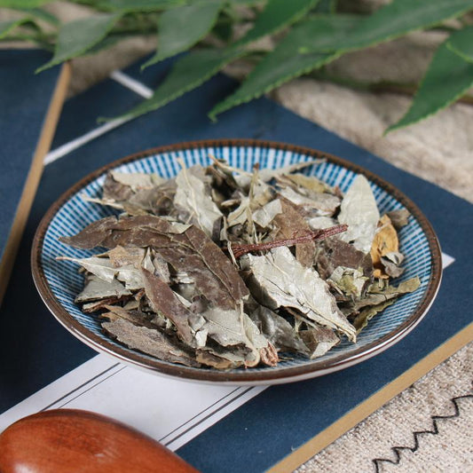 100g Hu Tui Zi Ye 胡頹子葉, Thorny Elaeagnus Leaf, Folium Elaeagni-[Chinese Herbs Online]-[chinese herbs shop near me]-[Traditional Chinese Medicine TCM]-[chinese herbalist]-Find Chinese Herb™