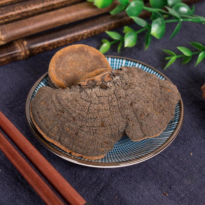 100g Huai Er 槐耳, Dried Huaier Mushroom Trametes Robiniophila Huaier Tea-[Chinese Herbs Online]-[chinese herbs shop near me]-[Traditional Chinese Medicine TCM]-[chinese herbalist]-Find Chinese Herb™