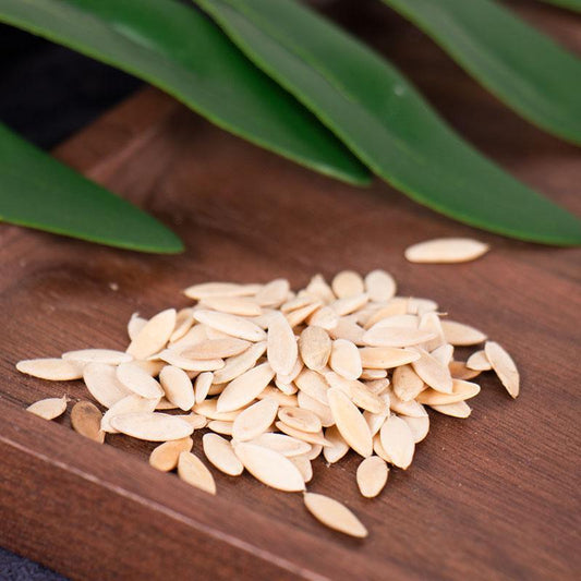 100g Huang Gua Zi 黃瓜子, Cucumber Seed-[Chinese Herbs Online]-[chinese herbs shop near me]-[Traditional Chinese Medicine TCM]-[chinese herbalist]-Find Chinese Herb™