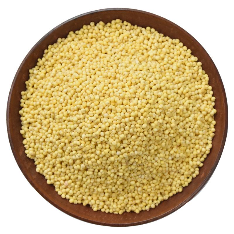 100g Huang Mi 黄米, Herb Food Millet, Grain Millet, Setaria Italica-[Chinese Herbs Online]-[chinese herbs shop near me]-[Traditional Chinese Medicine TCM]-[chinese herbalist]-Find Chinese Herb™
