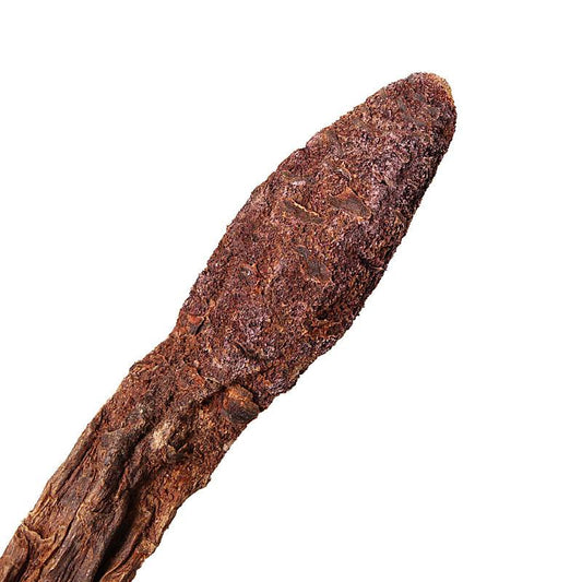 100g Jin Suo Yang 金鎖陽, Herba Cynomorii, Songaria Cynomorium Herb-[Chinese Herbs Online]-[chinese herbs shop near me]-[Traditional Chinese Medicine TCM]-[chinese herbalist]-Find Chinese Herb™