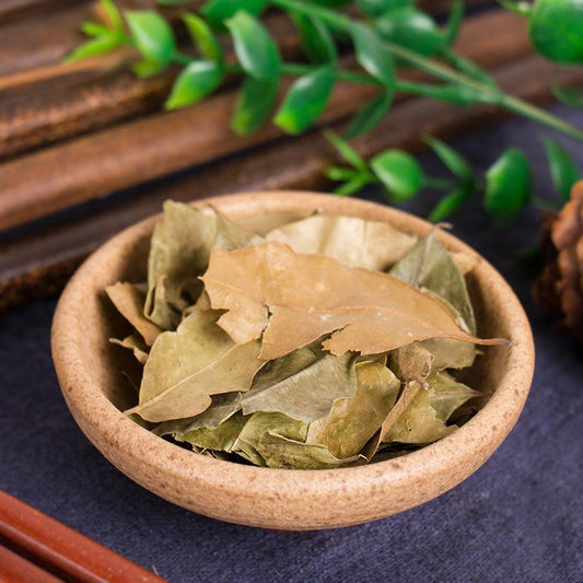 100g Jiu Li Xiang 九裏香, Common Jasminorange Leaf and Twig, Folium Et Cacumen Murrayae-[Chinese Herbs Online]-[chinese herbs shop near me]-[Traditional Chinese Medicine TCM]-[chinese herbalist]-Find Chinese Herb™