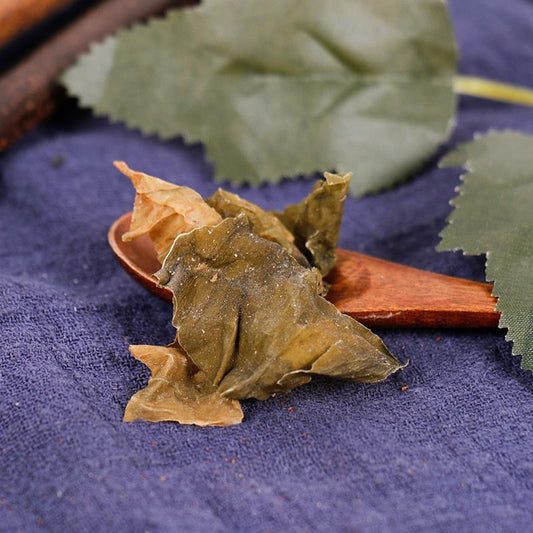 100g Kun Bu 昆布, Thallus Eckloniae, Kelp, Ecklonia kurome Okam-[Chinese Herbs Online]-[chinese herbs shop near me]-[Traditional Chinese Medicine TCM]-[chinese herbalist]-Find Chinese Herb™