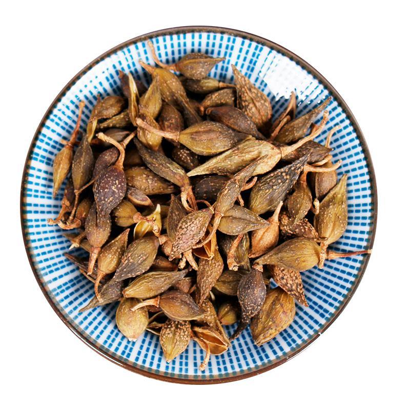 100g Lian Qiao 連翹, Lao Qiao, Fructus Forsythiae, Forsythia Suspensa-[Chinese Herbs Online]-[chinese herbs shop near me]-[Traditional Chinese Medicine TCM]-[chinese herbalist]-Find Chinese Herb™