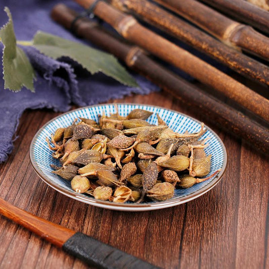 100g Lian Qiao 連翹, Lao Qiao, Fructus Forsythiae, Forsythia Suspensa-[Chinese Herbs Online]-[chinese herbs shop near me]-[Traditional Chinese Medicine TCM]-[chinese herbalist]-Find Chinese Herb™
