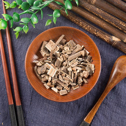 100g Lu Ying 陆英, Jie Gu Cao, Zou Ma Feng, Sambucus Chinensis-[Chinese Herbs Online]-[chinese herbs shop near me]-[Traditional Chinese Medicine TCM]-[chinese herbalist]-Find Chinese Herb™