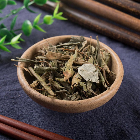 100g Man Shan Hong 滿山紅, Folium Rhododendri Dahurici, Dahurian Rhododendron Leaf-[Chinese Herbs Online]-[chinese herbs shop near me]-[Traditional Chinese Medicine TCM]-[chinese herbalist]-Find Chinese Herb™