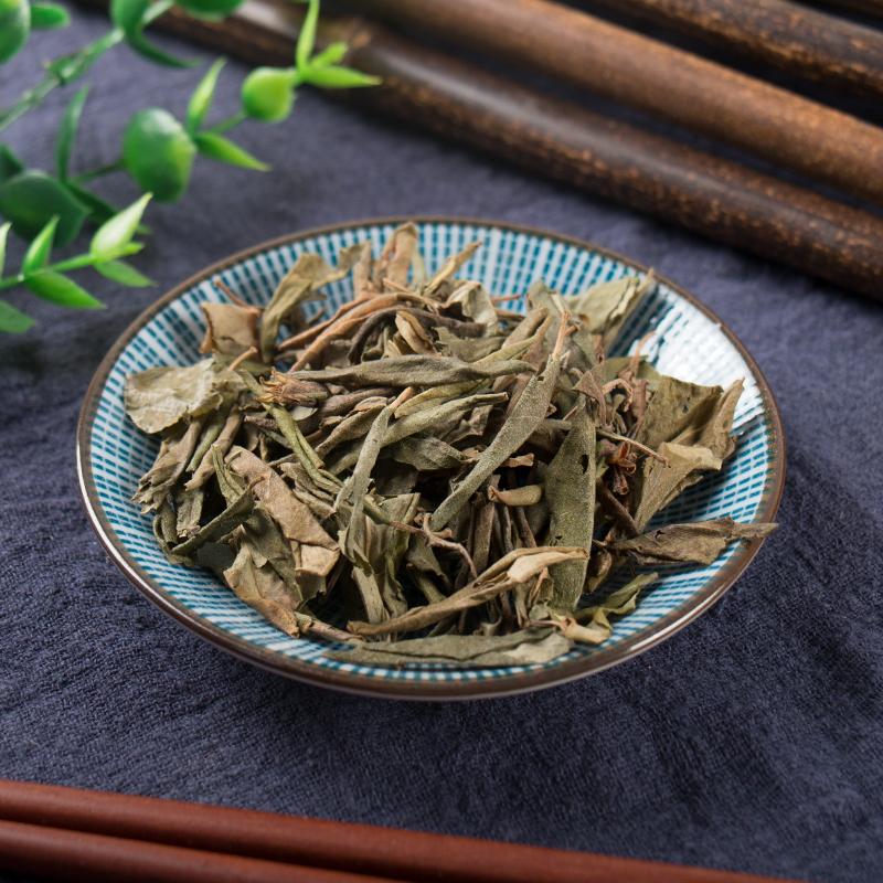 100g Man Shan Hong 滿山紅, Folium Rhododendri Dahurici, Dahurian Rhododendron Leaf-[Chinese Herbs Online]-[chinese herbs shop near me]-[Traditional Chinese Medicine TCM]-[chinese herbalist]-Find Chinese Herb™