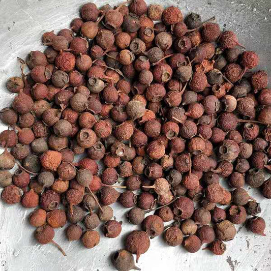 100g Nan Shan Zha 南山楂, South Hawthorn Fruit, Fructus Crataegi, Crataegus Cuneata-[Chinese Herbs Online]-[chinese herbs shop near me]-[Traditional Chinese Medicine TCM]-[chinese herbalist]-Find Chinese Herb™