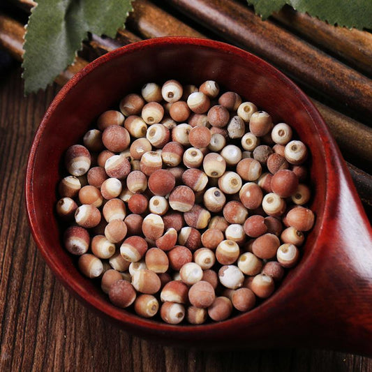 100g Qian Shi 芡實, Gorgon fruit, Gordon Euryale Seed, Semen Euryales, Ji Tou Mi-[Chinese Herbs Online]-[chinese herbs shop near me]-[Traditional Chinese Medicine TCM]-[chinese herbalist]-Find Chinese Herb™