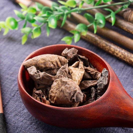 100g Qing Long Yi 青龙衣, Hu Tao Qing Pi, Exocarpium Juglandis, Exocarp Walnut-[Chinese Herbs Online]-[chinese herbs shop near me]-[Traditional Chinese Medicine TCM]-[chinese herbalist]-Find Chinese Herb™