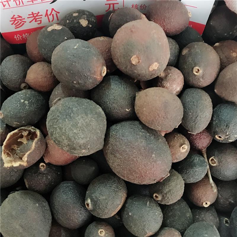 100g Qu Tou Ji 屈头鸡, Capperis Versicolor Griff-[Chinese Herbs Online]-[chinese herbs shop near me]-[Traditional Chinese Medicine TCM]-[chinese herbalist]-Find Chinese Herb™