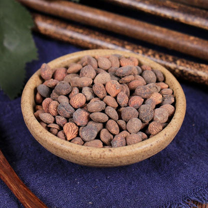 100g Rui Ren 蕤仁, Nux Prinsepiae, Hedge Prinsepia Nut-[Chinese Herbs Online]-[chinese herbs shop near me]-[Traditional Chinese Medicine TCM]-[chinese herbalist]-Find Chinese Herb™