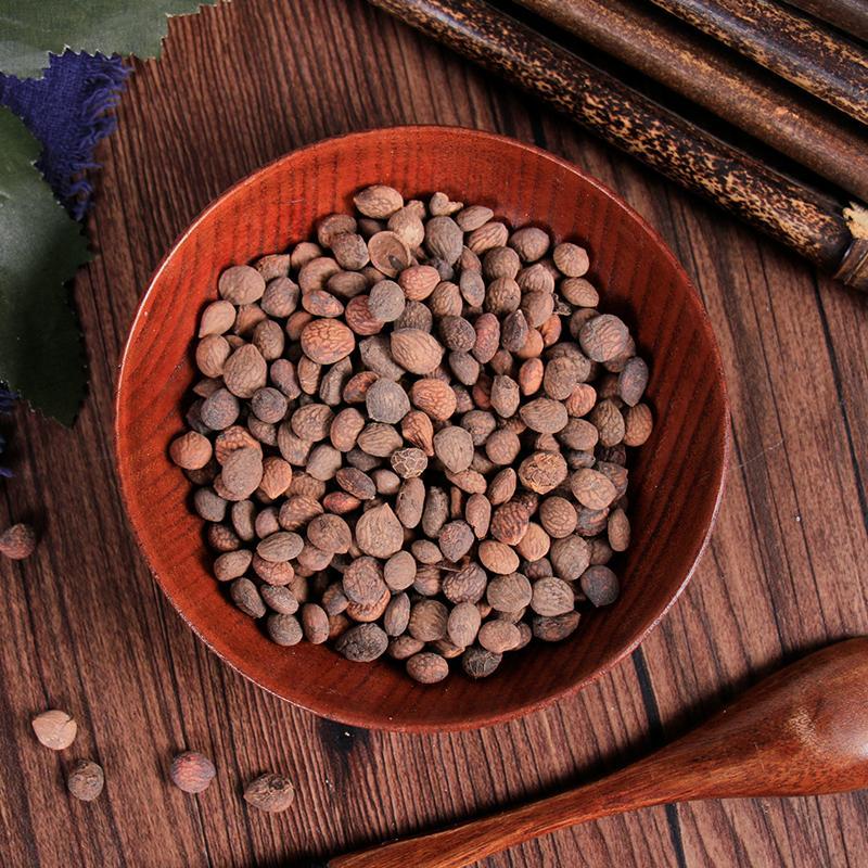 100g Rui Ren 蕤仁, Nux Prinsepiae, Hedge Prinsepia Nut-[Chinese Herbs Online]-[chinese herbs shop near me]-[Traditional Chinese Medicine TCM]-[chinese herbalist]-Find Chinese Herb™