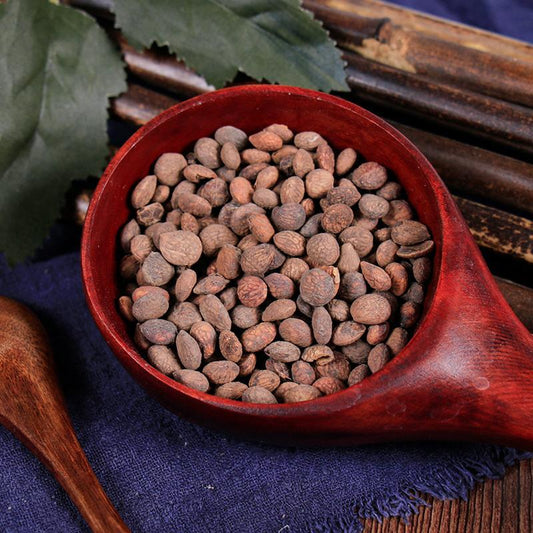 100g Rui Ren 蕤仁, Nux Prinsepiae, Hedge Prinsepia Nut-[Chinese Herbs Online]-[chinese herbs shop near me]-[Traditional Chinese Medicine TCM]-[chinese herbalist]-Find Chinese Herb™